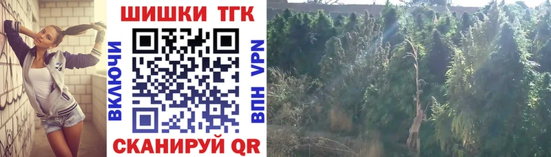 ГАШ Отрадная